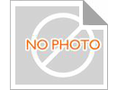 Ein guter Preis. Meteorenschauer, Federpapier, grüne Feldzeit, Blumenverpackungspapier, Blumenstrauß, Blumenverpackungsmaterialien, Blumenkunstmaterialien, verdickte Anti-Fülle Online