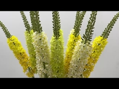 Dekoration Fuchsschwanz Gras Simulation Blume Zuhause Wohnzimmer Pferdeschwanz Blume Fliegende Schwalbe Gras Fl