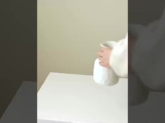 Simulation von 8 kleinen Kürbisse, Nachahmung von echten und gefälschten Kürbisse, Hausdekoration, Hochzeit, s