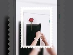 Göttin einzelne kleine Blumenstrauß Verpackung transparente opp wasserdichte Film gewickelt Blumenpapier diy mate