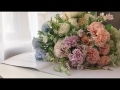 Simulation der Nelkenblume Frühlingsfarbserie Kleiner Griffblume Muttertag Fälschblume Frisch s