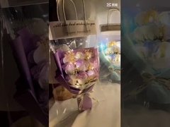 Graduation Season, ewig währende Blumen, Rosen, Astern, getrocknete Blumen, fertige Seifen, Blumen, Geburt