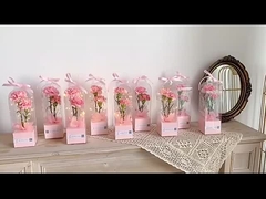 PVC transparente Panorama-Rose einzelne DIY-Blumen-Arrangement-Box, handgeführte Leuchtturm-Blumen-Paket