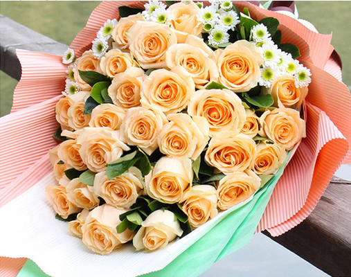 Ein guter Preis. Einfache Farbwellpappe 50cmx70cm imprägniern nicht für die Blumen-Verpackung Online