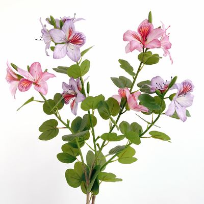 kaufen Chinesische Bauhinia-Blume aus Kunststoff für Heim- und Hoteldekorationen Online-Herstellung