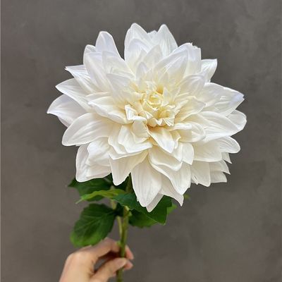 kaufen Heimsimulation Dahlia Innenausstattung, künstliche Blumen, Hochzeitsszenen, Fotografie Online-Herstellung