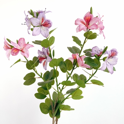 Ein guter Preis. Chinesische Bauhinia-Blume aus Kunststoff für Heim- und Hoteldekorationen Online