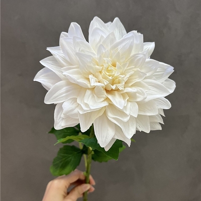 Ein guter Preis. Heimsimulation Dahlia Innenausstattung, künstliche Blumen, Hochzeitsszenen, Fotografie Online