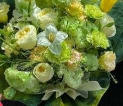 Ein guter Preis. Kleines Prinz Frühlingsreihe Blumenverpackungspapier Online