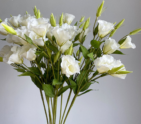 Ein guter Preis. 3 Stück Simulationen von Campanula-Blüten, Dekorationen für die Wohnung, Seidenblumen, Fotorequisiten, Hochzeitsleitfaden, Landschaften, gefälschte Blumensträuße Online