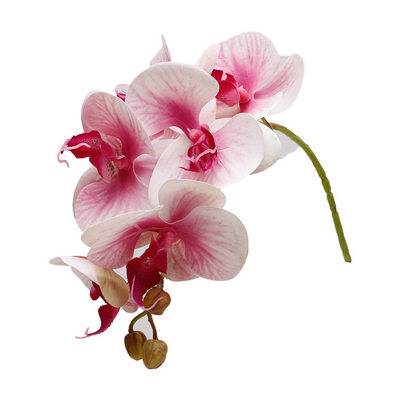Kunststoffsimulation 3D-Schmetterlingsorchidee Hochzeitsschmuck, Blütenblätter, falsche Blumen, kleine Blumenbündel, Schmetterlingsorchidee Simulation Blumen