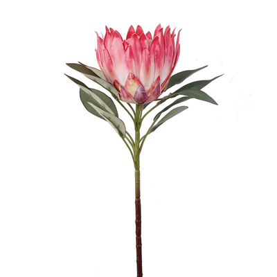 Ein guter Preis. Frühlingsfarben-Simulation König Blumen-Shoot-Szene Kaiser Blumen-Haus Fälschung Blumen-Dekoration Hochzeit König Blumen-Simulation Blumen Online
