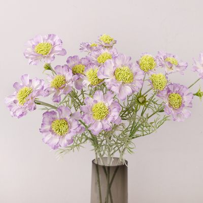 Ein guter Preis. Simulationsrad Gipfel Chrysanthemen Kiefer Cordyceps Zuhause Fälschung Blumen Platzierung Requisiten Dekoration Maisblume Simulation Blume Kunststoff Online