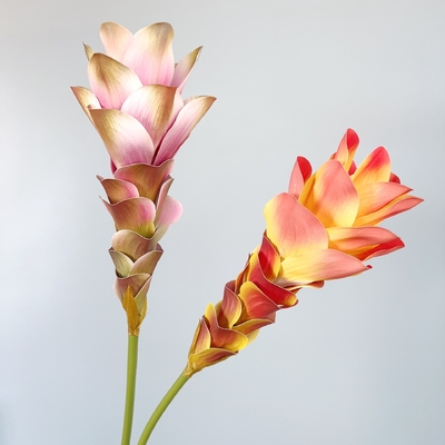 Ein guter Preis. Simulierte Blumen, Ingwerblumen, Lotusblumen, 3D-Druck, Texturblumen, Wohnkultur, Modellzimmerdekoration, Hochzeitsrequisiten, Blumenstrauß Online
