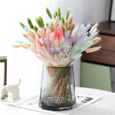 Ein guter Preis. Ins Website roter Blumenstrauß ewiges Leben Blume Zuhause Wohnzimmer Dekoration Ornament Kaninchenschwanz Gras Hund Schwanz Gras getrocknete Blume Online